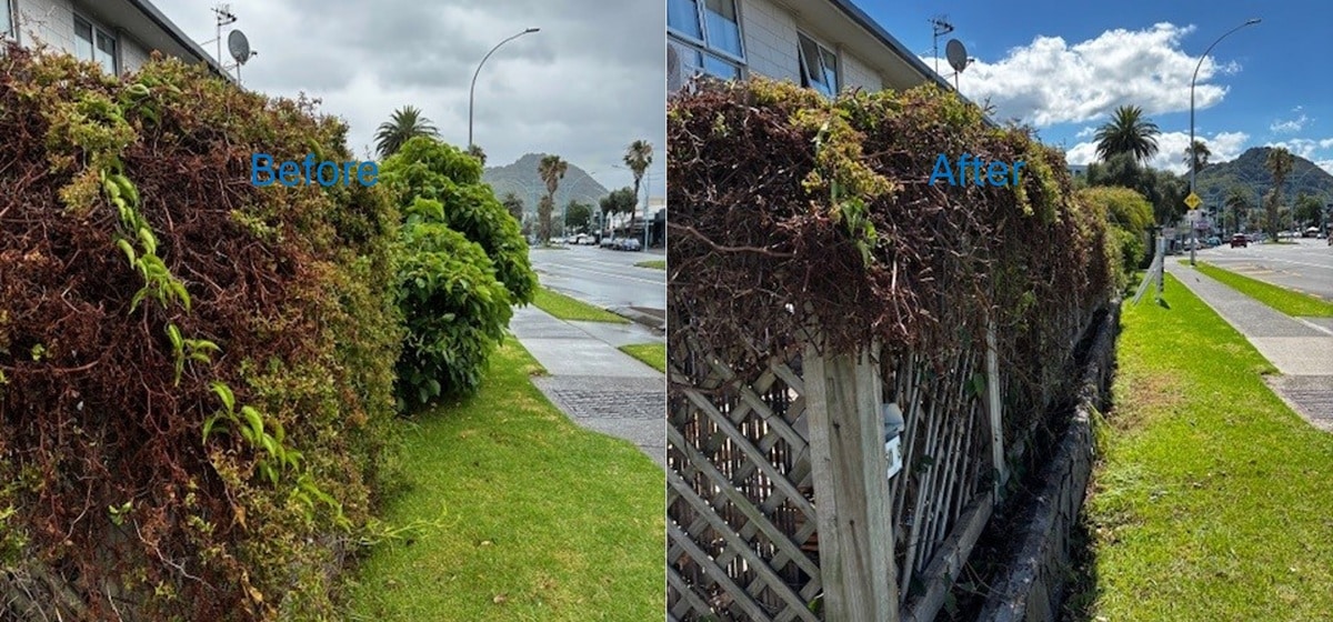 General Property Maintenance